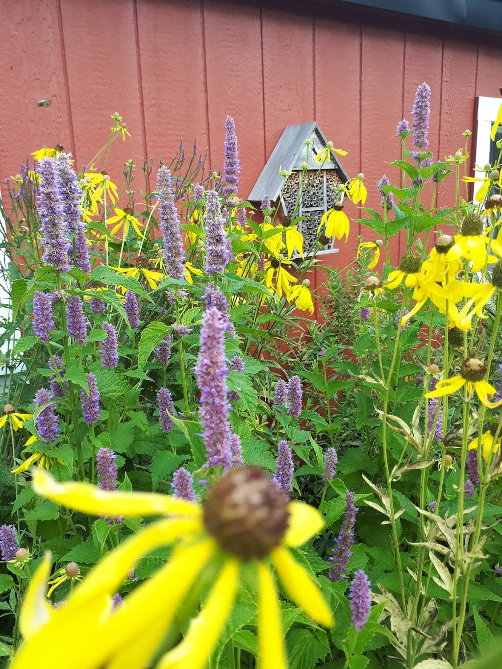 Green Side Up Environmental Services | 121 Grassy Rd, Omemee, ON K0L 2W0, Canada | Phone: (289) 892-2827