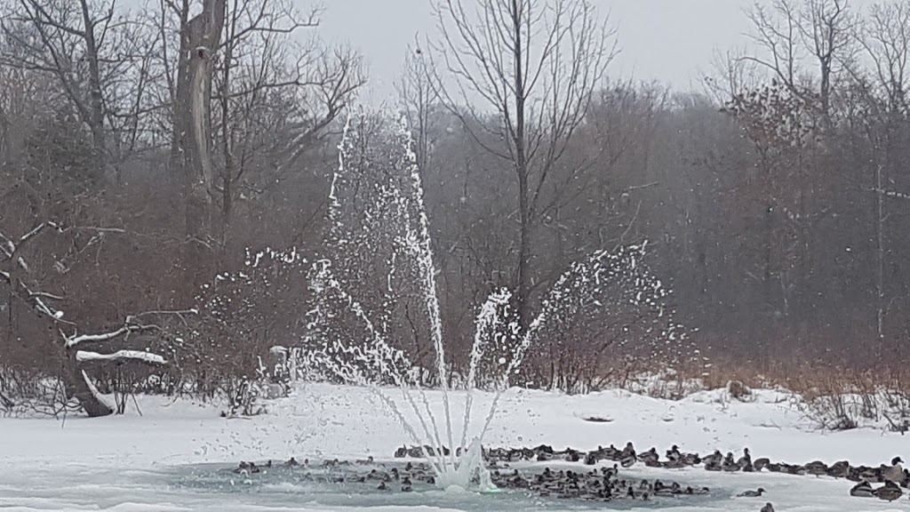 Dufferin Islands Nature Area | 6345 Dufferin Isle Rd, Allanburg, ON L0S 1A0, Canada | Phone: (877) 642-7275