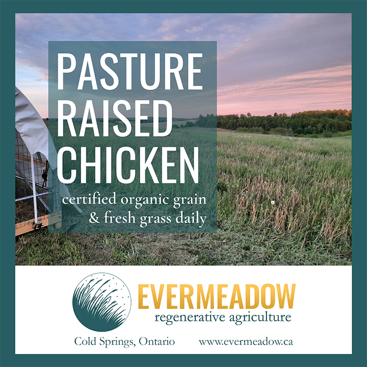 Evermeadow Farm | 3989 McIntosh St, Cobourg, ON K9A 4J9, Canada | Phone: (905) 269-3765