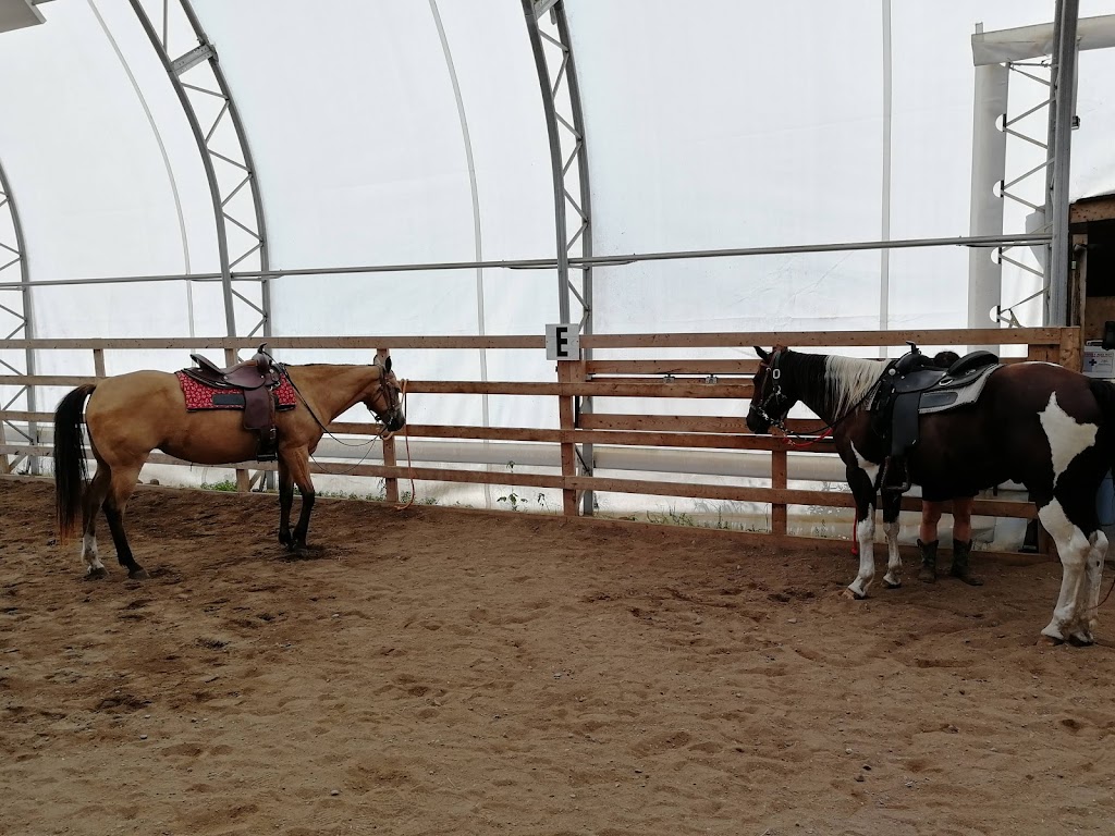 Ranch Le Soleil Le Vent | 243 route 172 Nord, Sacré-Coeur, QC G0T 1Y0, Canada | Phone: (418) 236-4853