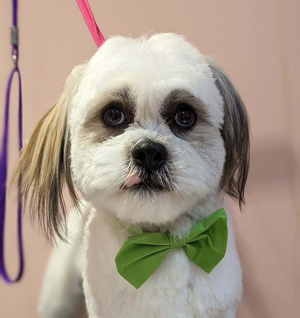 Silky Styles Grooming | 36 Trinity Crescent, Whitby, ON L1N 6L2, Canada | Phone: (416) 428-5601