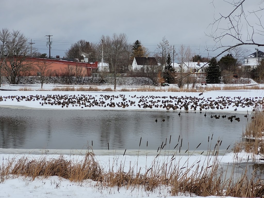 Kiwanis Park | 20 Juniper St, Truro, NS B2N 1L1, Canada | Phone: (902) 895-4484
