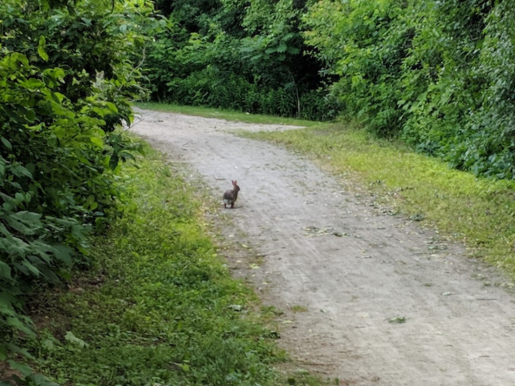 Wintermeyer Park | 495/497 Forestlawn Rd, Waterloo, ON N2K 3X8, Canada