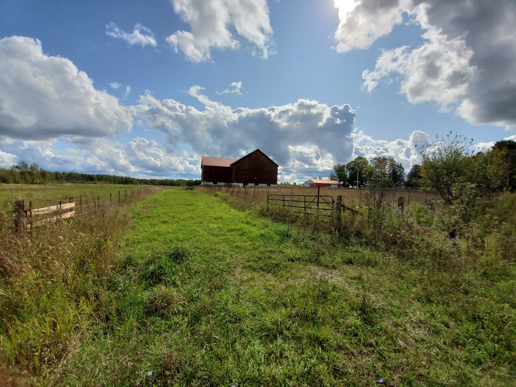 Greyhighlands Municipality | Highland Dr, Flesherton, ON N0C 1E0, Canada | Phone: (519) 986-2811