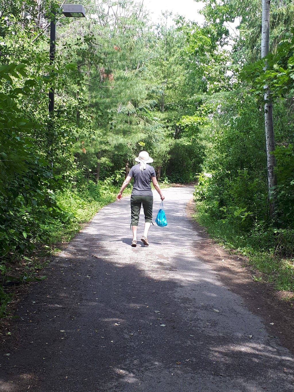 Jim Malone Park | 400 Goldridge Dr, Kanata, ON K2T 1A8, Canada