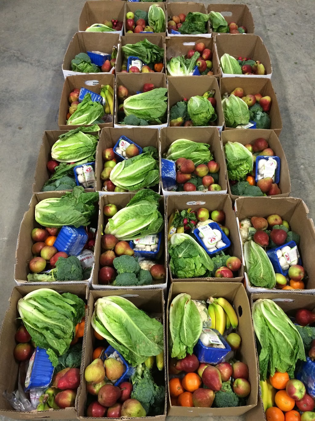 La boîte Bio-Logique | 1467 Montée Paiement, Cantley, QC J8V 3W3, Canada | Phone: (819) 506-6246