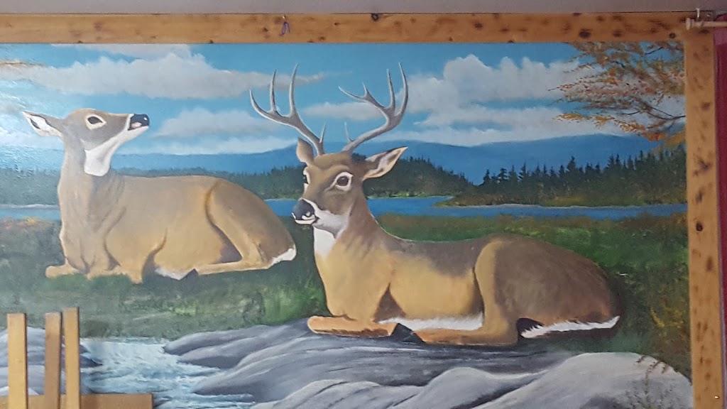 East River Lodge Campground & Trailer Park | 200 Pool Rd, Sheet Harbour, NS B0J 3B0, Canada | Phone: (902) 885-2057