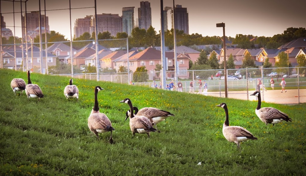 Brickyard Park | 3061 Clayhill Rd, Mississauga, ON L5B 4J3, Canada | Phone: (905) 615-4311