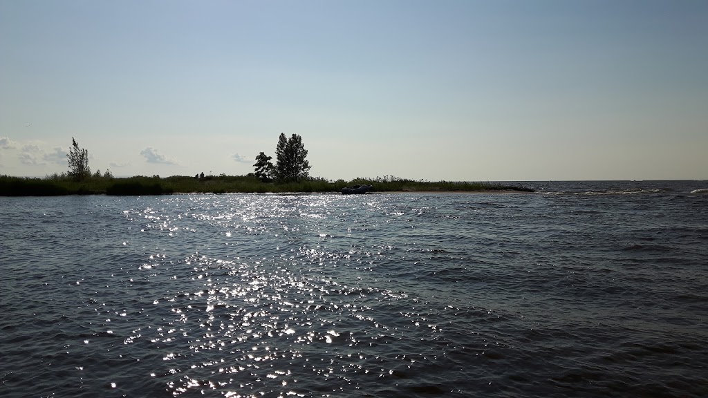 Aloha Wasaga | 391 River Rd E, Wasaga Beach, ON L9Z 2L7, Canada | Phone: (705) 429-3636