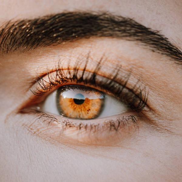 Flutter Lashes | Pritchard Creek Pl, Langford, BC V9C 0K9, Canada | Phone: (250) 589-9371