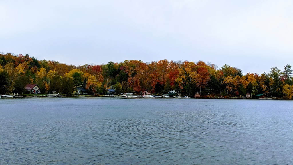 Muskoka Village Harbour and Marina | 1291 Skeleton Lake Road 2, Utterson, ON P0B 1M0, Canada | Phone: (416) 580-0352
