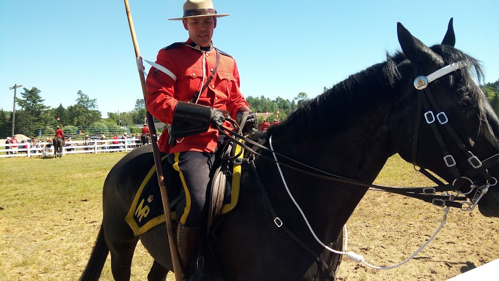 Armour Ryerson & Burks Falls Memorial Arena | 220 Centre St, Burks Falls, ON P0A 1C0, Canada | Phone: (705) 382-3811