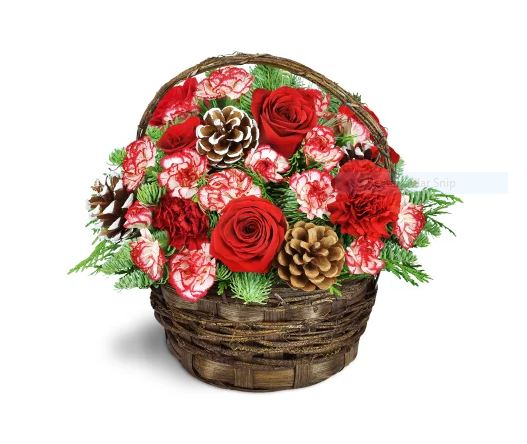Adas Flowers | 2236 Hampstead Rd, Oakville, ON L6H 6Y9, Canada | Phone: (905) 844-8783