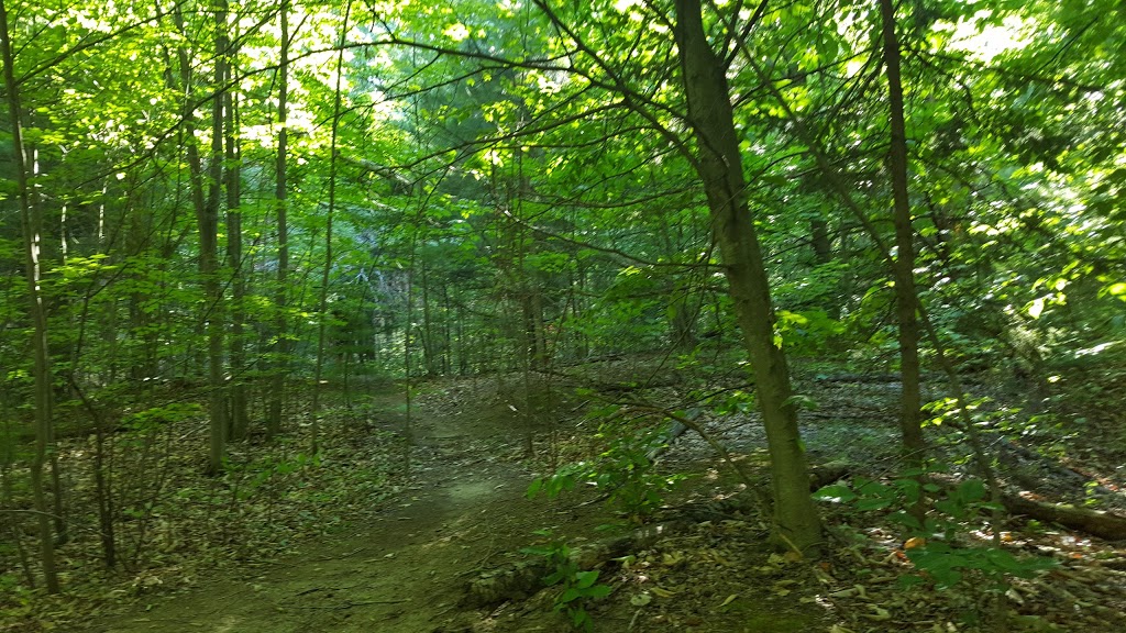 Grenfell Glen Park | Merivale Gardens - Grenfell Glen - Pineglen - Country Place, Ottawa, ON K2G, Canada