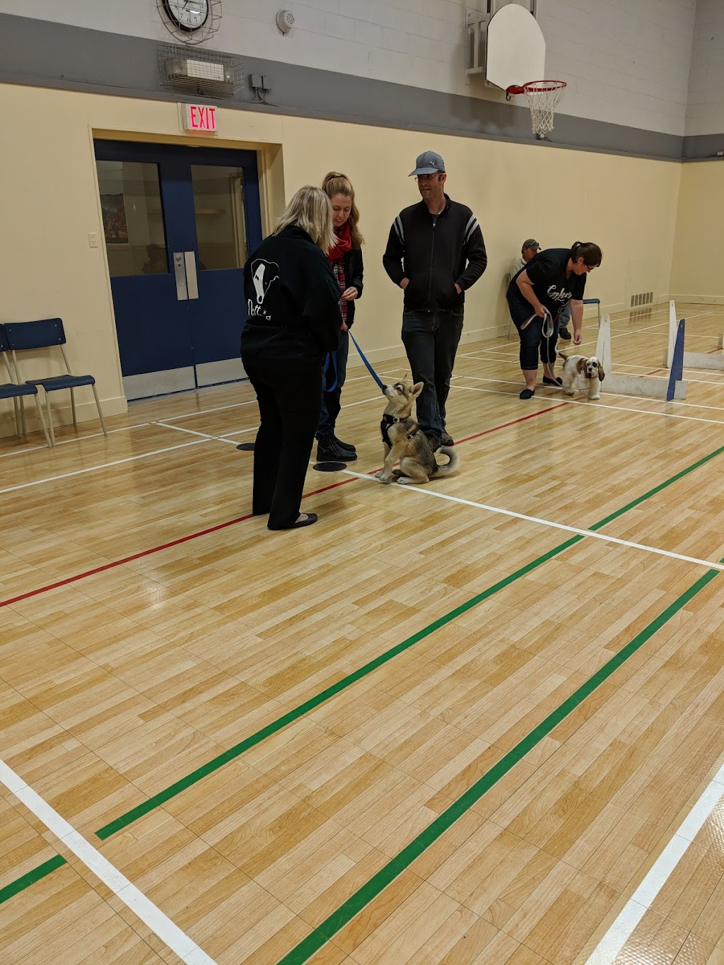 Mahone Bay Centre | 45 School St, Mahone Bay, NS B0J 2E0, Canada | Phone: (902) 624-0890