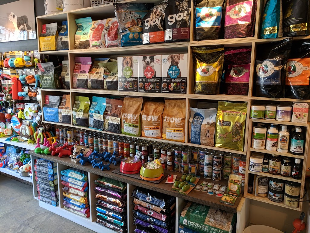 The Dog Bowl | 984 Dundas St W, Toronto, ON M6J 1W6, Canada | Phone: (416) 645-2695