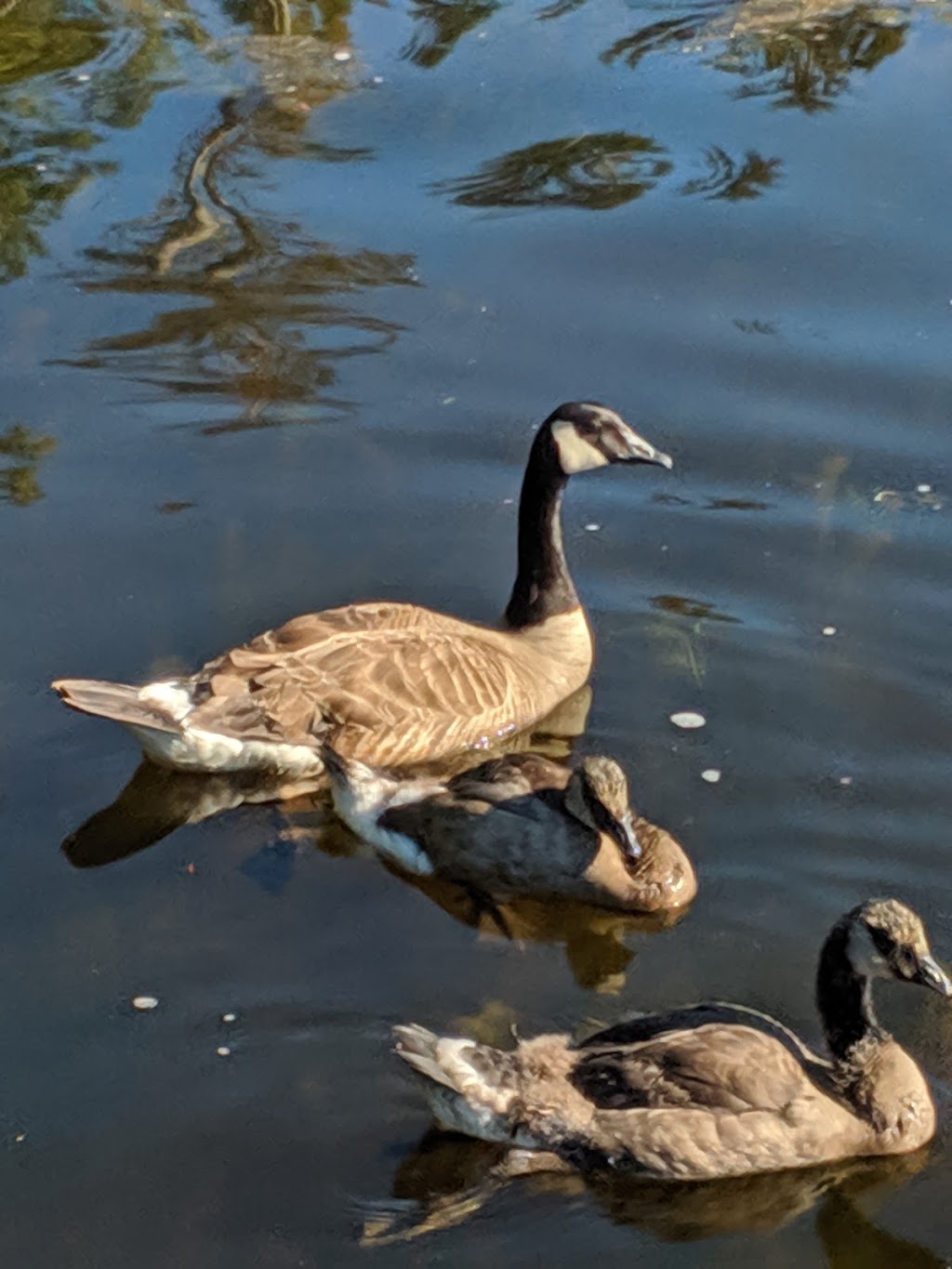 East Cranberry Lake Parking Lot | 41229 WA-20, Oak Harbor, WA 98277, USA | Phone: (360) 675-3767