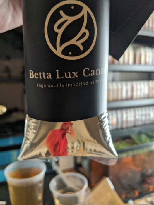 Betta Lux Canada | 536 Third St Unit 12, London, ON N5V 4R5, Canada | Phone: (226) 700-0224