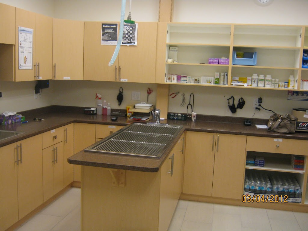 Alpha Animal Hospital | 2362 Whatcom Rd #125, Abbotsford, BC V3G 0C1, Canada | Phone: (604) 859-6322