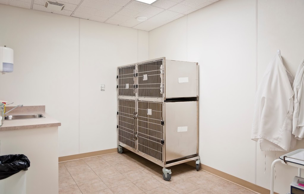Warman Veterinary Clinic | 100A Crystal Springs Dr, Warman, SK S0K 0A1, Canada | Phone: (306) 933-3235