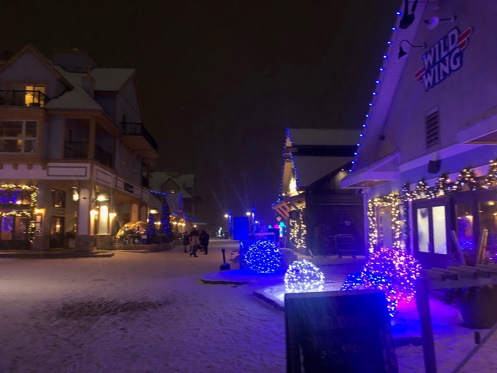 Open Air Gondola- Base | 150 Jozo Weider Blvd Unit AS8, The Blue Mountains, ON L9Y 0P7, Canada | Phone: (833) 583-2583
