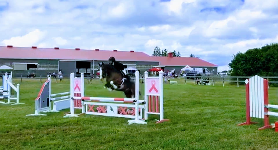 Sunnymead Farm | 1060 Frank Hill Rd, Omemee, ON K0L 2W0, Canada | Phone: (705) 760-5741