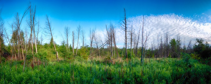 Harper Park | 632 Harper Rd, Peterborough, ON K9J 6X6, Canada | Phone: (705) 991-0422