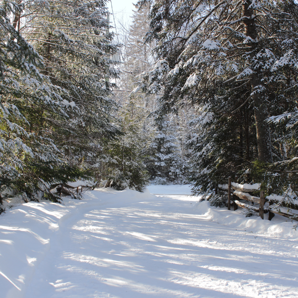 Chalets Plein Bois - LE HUARD | 710 Chem. du Lac Ste Rose S, Mandeville, QC J0K 1L0, Canada | Phone: (514) 668-2586