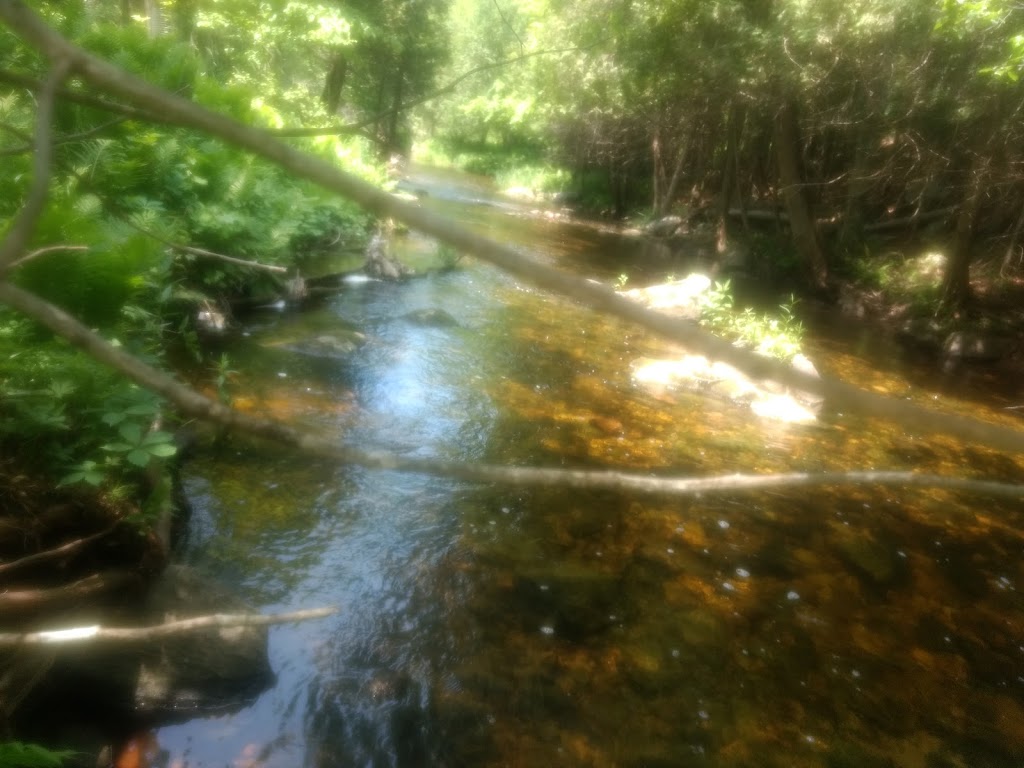 Pauls Creek Campground | 6758 McDonalds Corners Rd, McDonalds Corners, ON K0G 1M0, Canada | Phone: (613) 278-2770