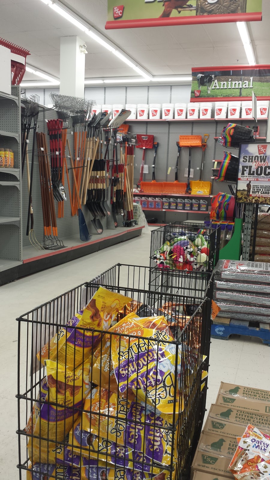 TSC Stores | 164-190 Holland St W, Bradford, ON L3Z 2A9, Canada | Phone: (905) 775-0562