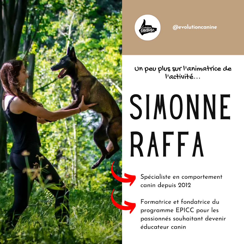 Évolution Canine - Éducation canine et dressage de chiens | 121 Chem. du Petit Rocher, Saint-Mathieu-du-Parc, QC G0X 1N0, Canada | Phone: (514) 553-1139