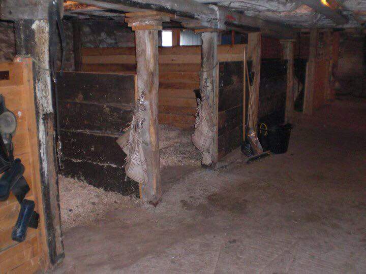 Antioch Hill Equine Retirement | 1955 Concession Rd 7, Sunderland, ON L0C 1H0, Canada | Phone: (705) 357-3050
