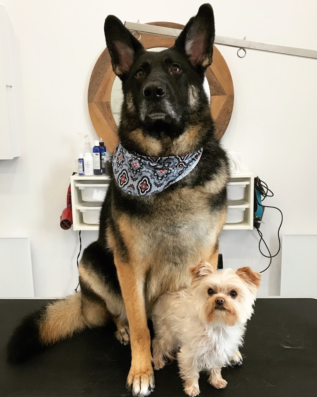 Spa Hôtel Le Canin | 5827 Chem. Beaudette, Sherbrooke, QC J1N 3B8, Canada | Phone: (819) 679-2999
