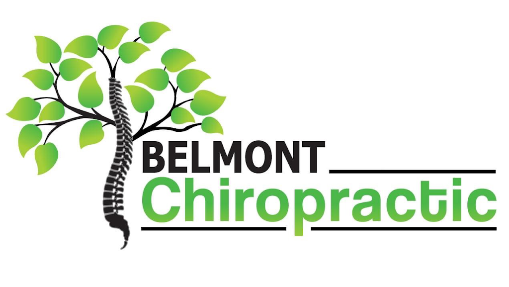 Belmont Chiropractic | 288 Dufferin St, Belmont, ON N0L 1B0, Canada | Phone: (519) 558-9505