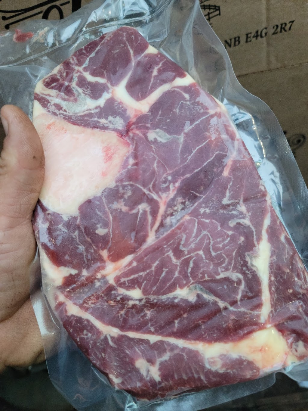 Angus Arabian Devon East | 205 Austin Rd, Mill Cove, NB E4C 3C1, Canada | Phone: (506) 488-2181