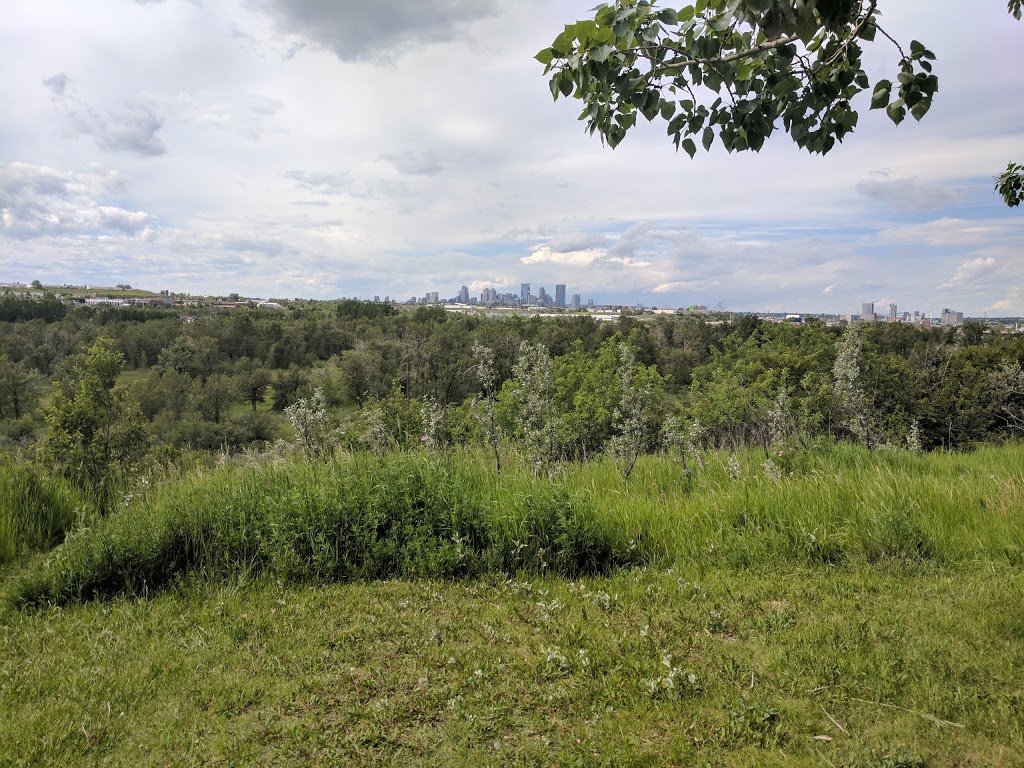 Beaver Dam Flats | 3A6, Bow River Pathway, Calgary, AB T2C 3A6, Canada