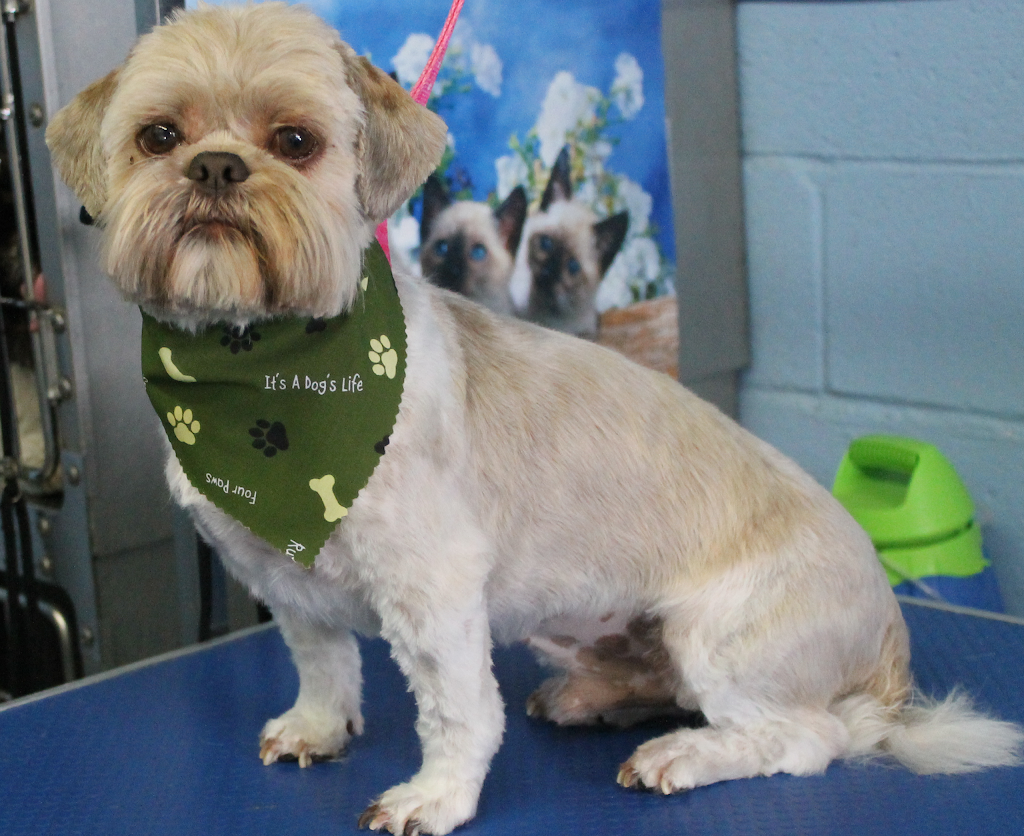 PAW SPA (Dog & Cat Grooming) | 815 Kettleridge St, London, ON N6H 0E3, Canada | Phone: (519) 709-5671