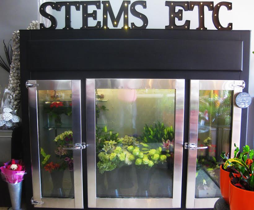 stems etc. limited | 101 Lakeport Rd Unit 3, St. Catharines, ON L2N 7L7, Canada | Phone: (289) 438-2235