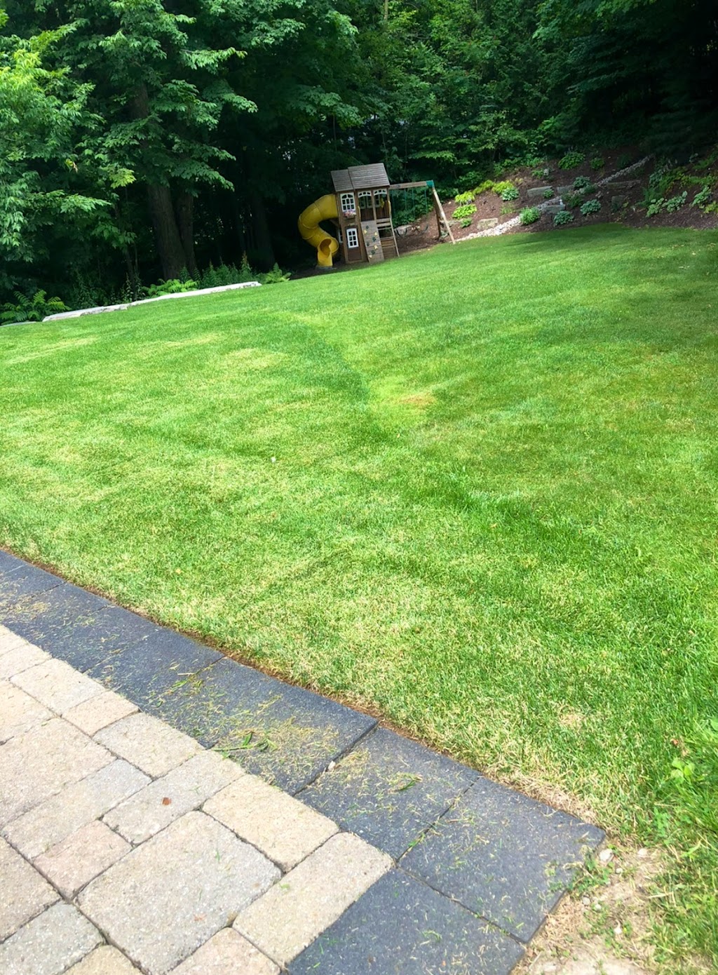 A1 Lawncare | Fairway Ct, Shanty Bay, ON L0L 2L0, Canada | Phone: (905) 353-5296