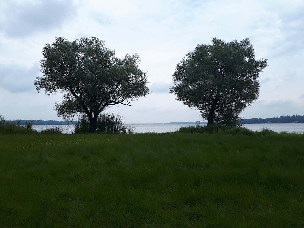 Birdseye Park | 254 Water St, Port Perry, ON L9L 1C4, Canada