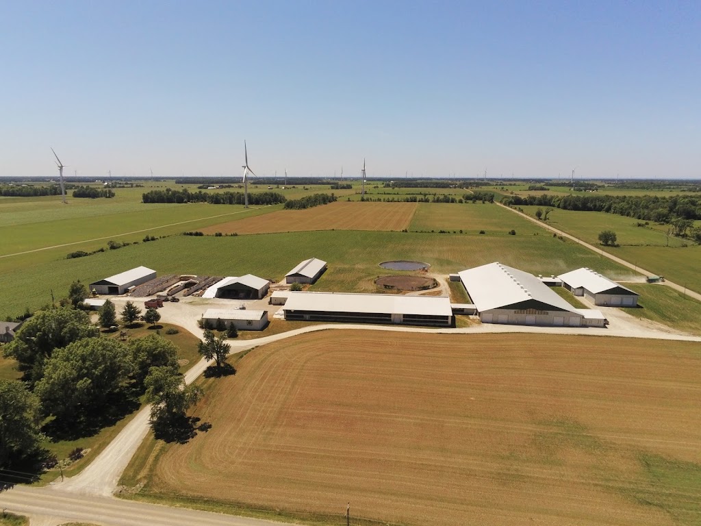 Four Clover Dairy Inc | point of interest | 8157 Jericho Rd, Thedford, ON N0M 2N0, Canada | 5193814637 OR +1 519-381-4637