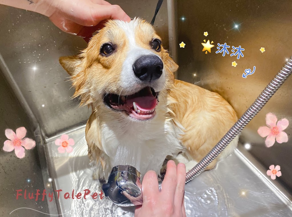 Fluffytale Pet 毛茸茸 | 2 Corby Rd Unit 3, Markham, ON L3R 8A9, Canada | Phone: (437) 345-2083