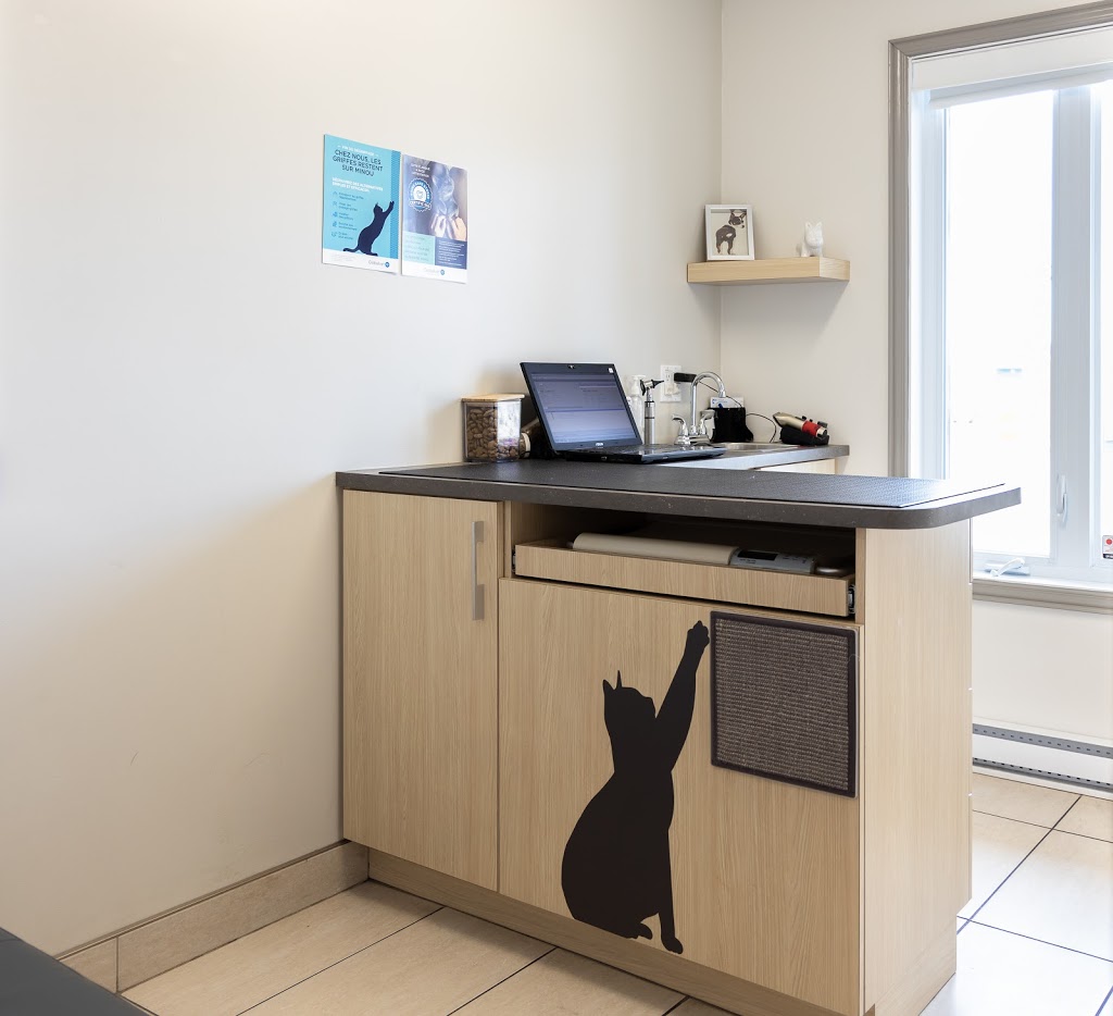 Clinique Vétérinaire Beauce-Appalaches Enr | 410 144e Rue, Saint-Georges, QC G5Y 2K4, Canada | Phone: (418) 227-3006