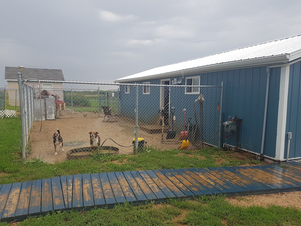 Paws Claws N Tails Kennel | Baildon Farm Road, MAIL TO: P.O.B. 691 BUSHELL PARK,, Baildon, SK S0H 0N0, Canada | Phone: (306) 693-0310
