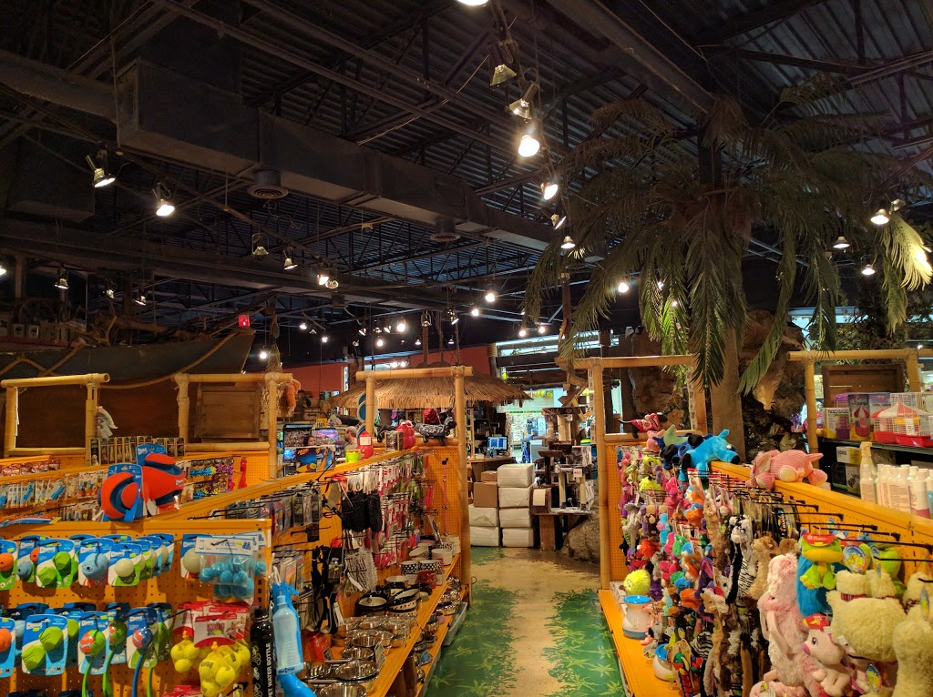 Centre danimaux Safari Carrefour Angrignon | 7077 Bd Newman, LaSalle, QC H8N 1X1, Canada | Phone: (514) 364-2298
