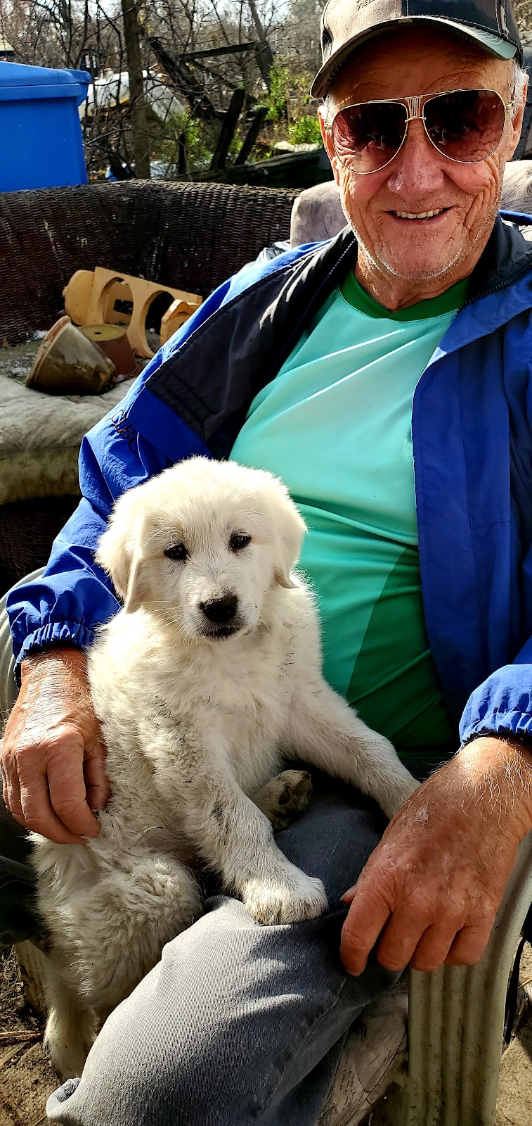 Kamp Kiki Animal Sanctuary | 782 Shannon Rd, Plainfield, ON K0K 2V0, Canada | Phone: (613) 391-9417