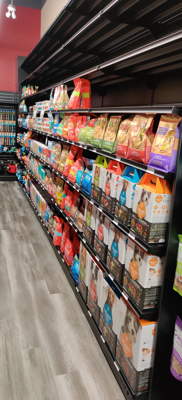 Global Pet Foods | 7700 Hurontario St Unit 509, Brampton, ON L6Y 4M3, Canada | Phone: (905) 456-6660