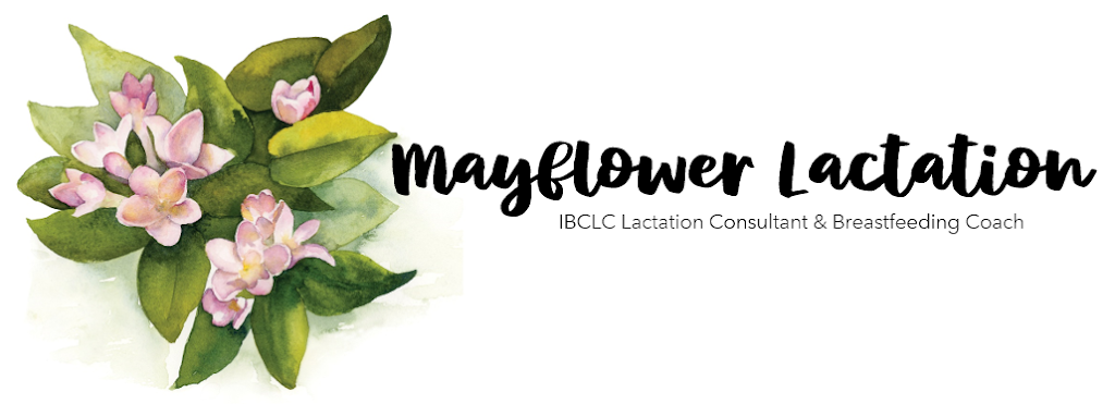 Mayflower Lactation - Lactation Consultant | 300 Prince Albert Rd Suite 111, Dartmouth, NS B2Y 4J2, Canada | Phone: (902) 403-2600
