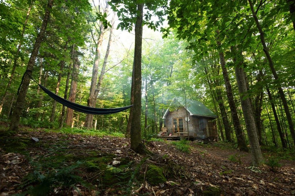 Ferme La Généreuse | 540 Chemin Labonté, Cookshire-Eaton, QC J0B 1M0, Canada | Phone: (819) 875-5156