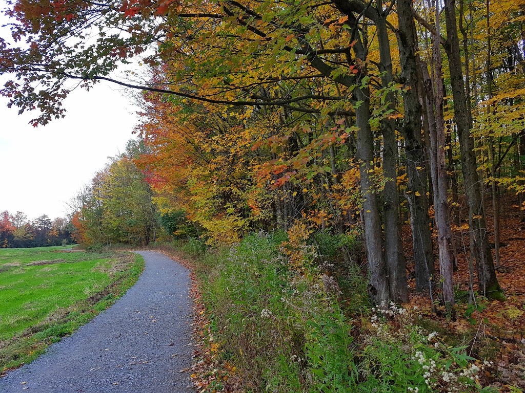 Club De Golf Miner | 30 Rue Long, Granby, QC J2G 6S8, Canada | Phone: (450) 372-4462